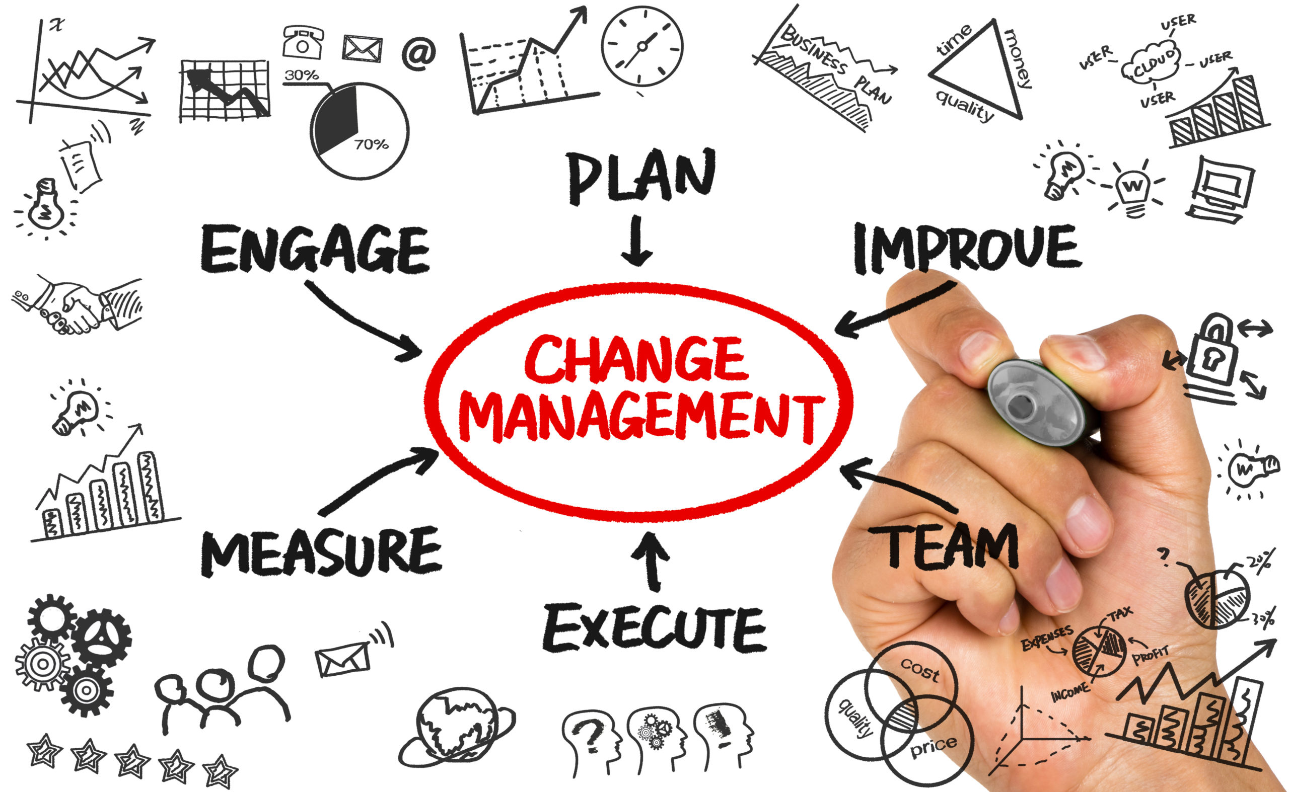 Change Management Team Structure