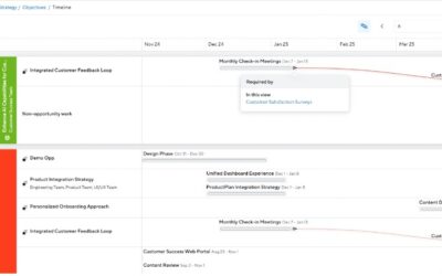 Strategic Portfolio Connection Visualization